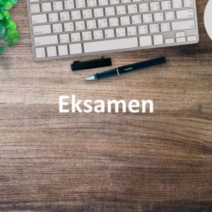 Eksamen i valgfaget
